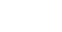 A1 Vehicle Group